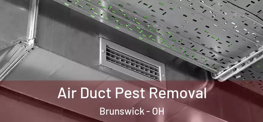 Air Duct Pest Removal Brunswick - OH