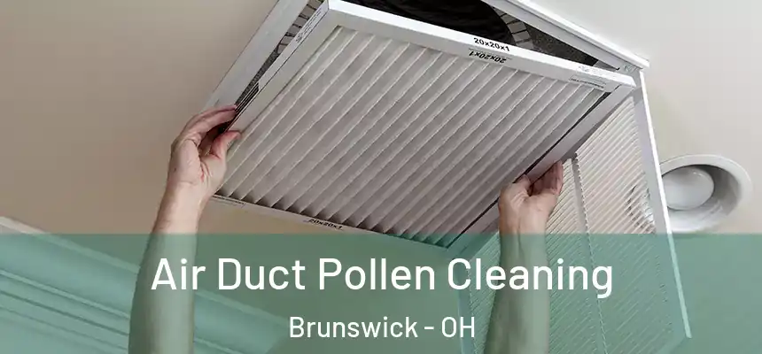  Air Duct Pollen Cleaning Brunswick - OH