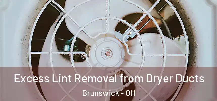  Excess Lint Removal from Dryer Ducts Brunswick - OH