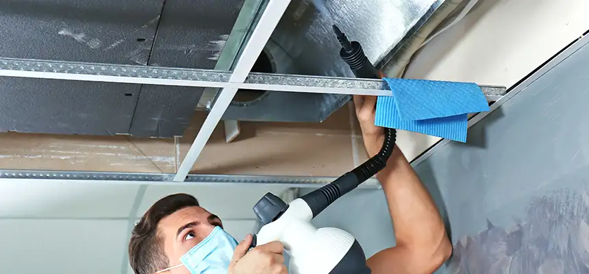 Our Air Duct Rodent Removal Services in Brunswick, OH
