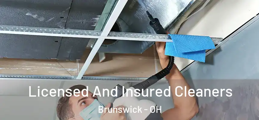 Licensed And Insured Cleaners Brunswick - OH