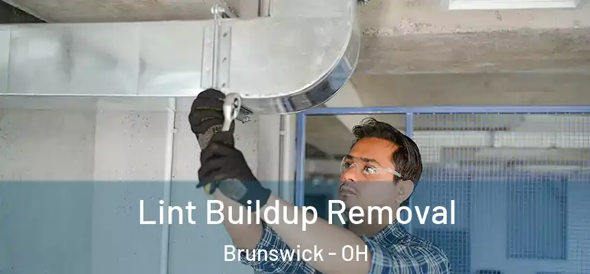  Lint Buildup Removal Brunswick - OH