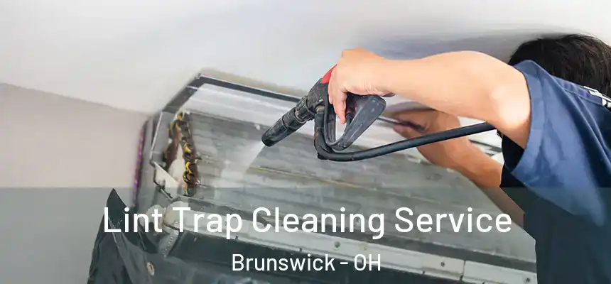  Lint Trap Cleaning Service Brunswick - OH