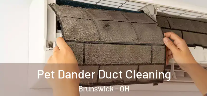  Pet Dander Duct Cleaning Brunswick - OH