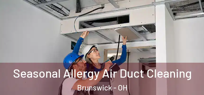 Seasonal Allergy Air Duct Cleaning Brunswick - OH