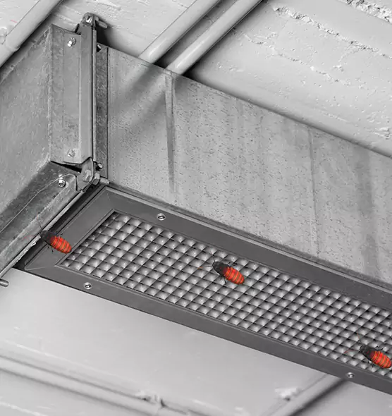 About Air Duct Cockroach Removal in Brunswick, OH