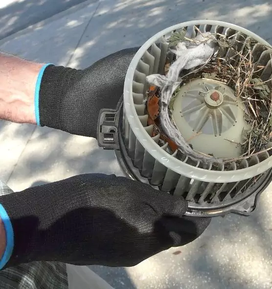 About Air Duct Rat Removal in Brunswick, OH