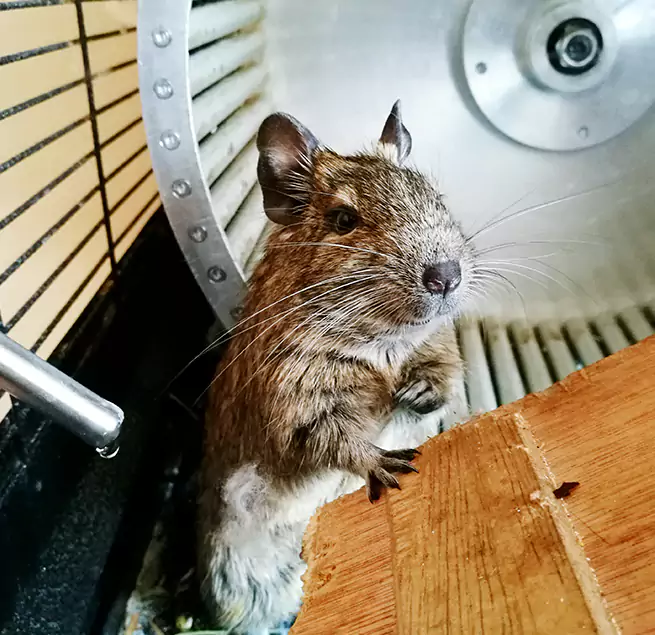 Why Homeowners & Businesses Trust Us Brunswick, OH